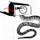 Image for article titled The Man Who Fought the Synanon Cult and Won